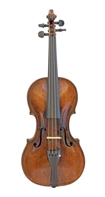 Violino