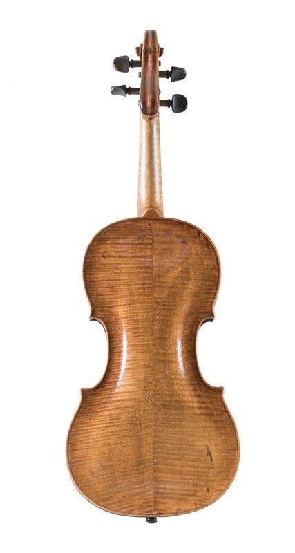 Violino