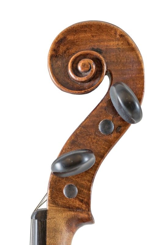 Violino