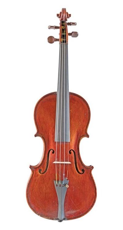 Violino