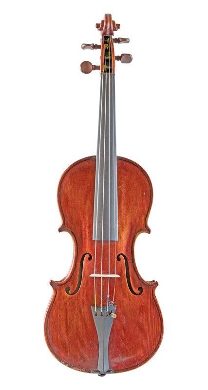 Violino