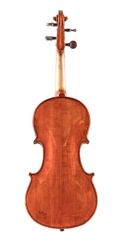 Violino