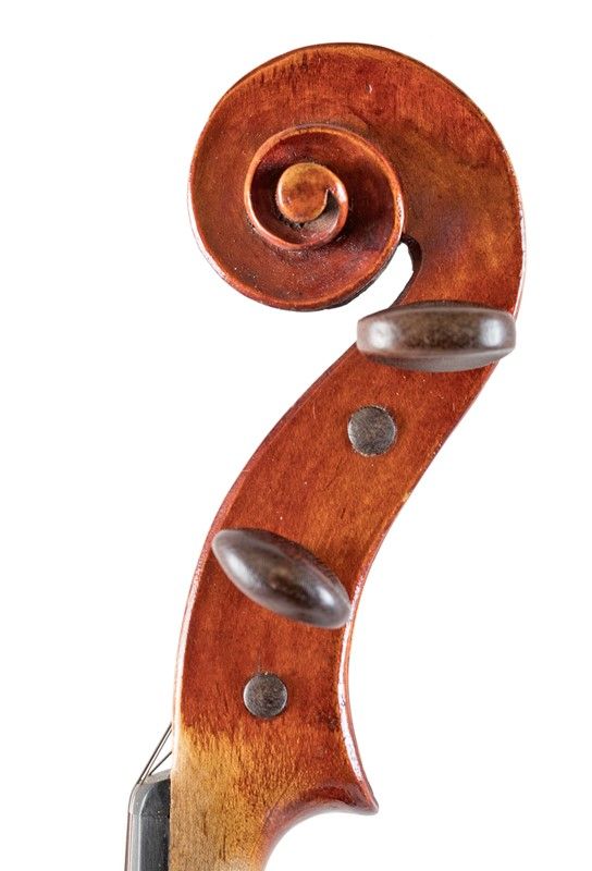 Violino