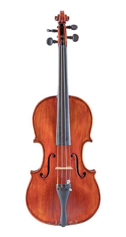 Violino