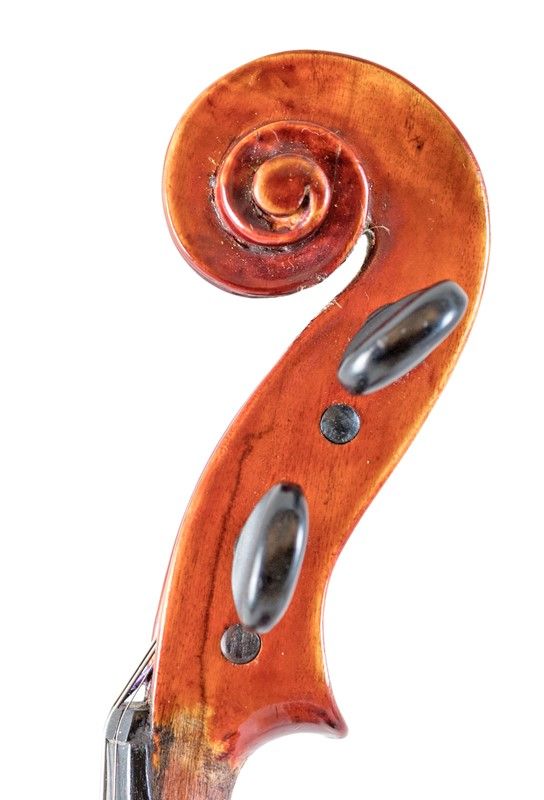Violino