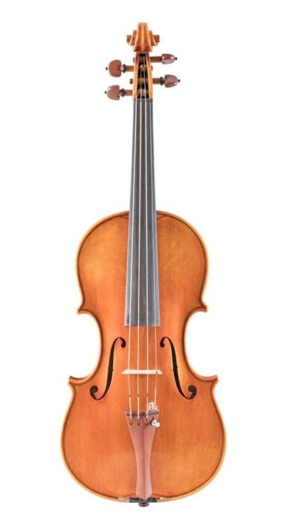 Violino
