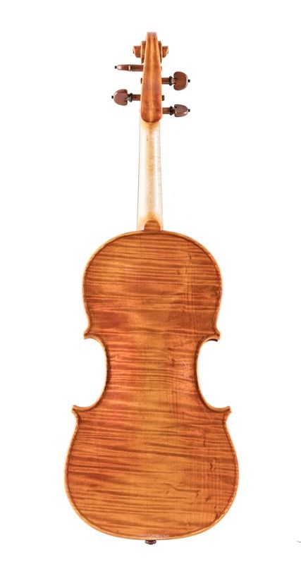 Violino