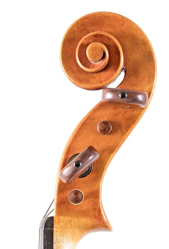 Violino
