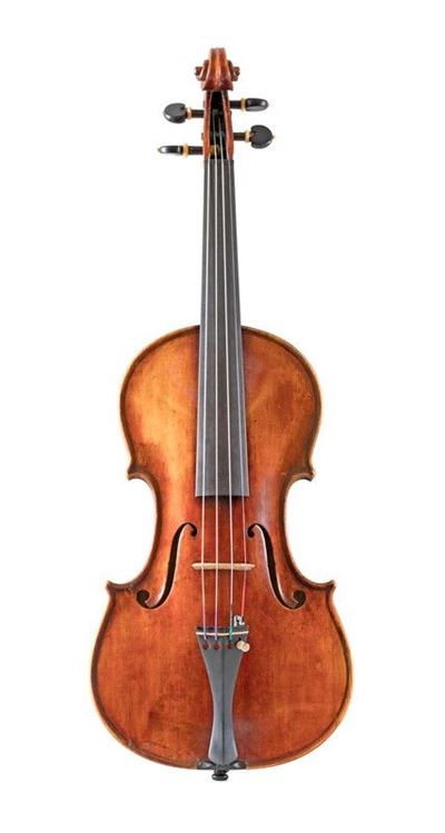 Violino