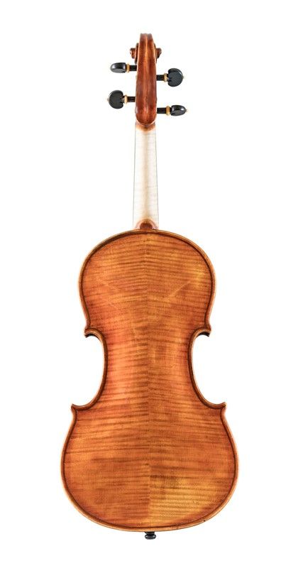 Violino