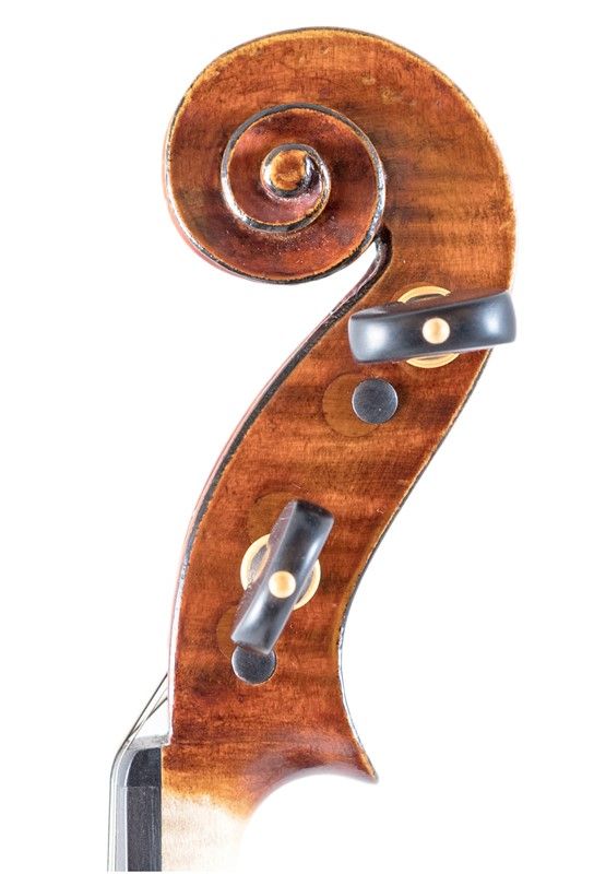 Violino