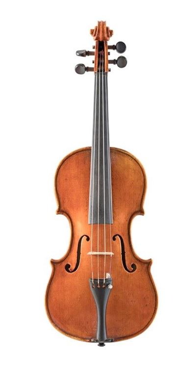 Violino