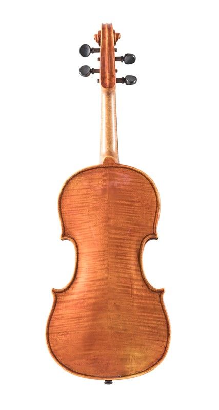 Violino