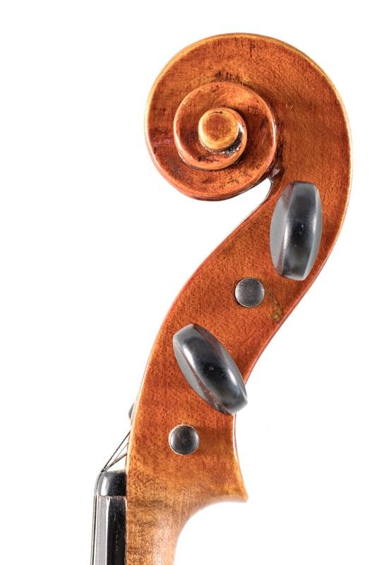 Violino