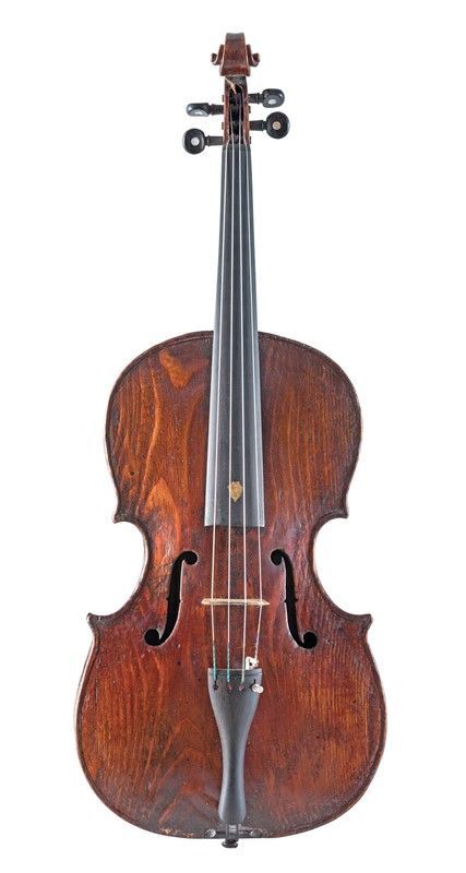Viola
