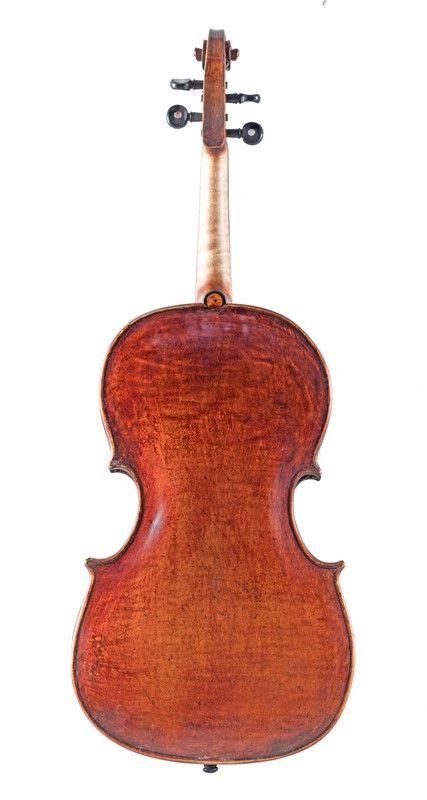 Viola