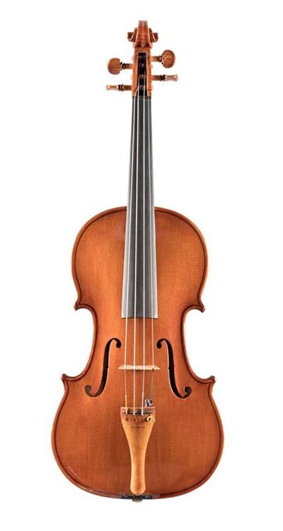 Violino di Dario Vernè