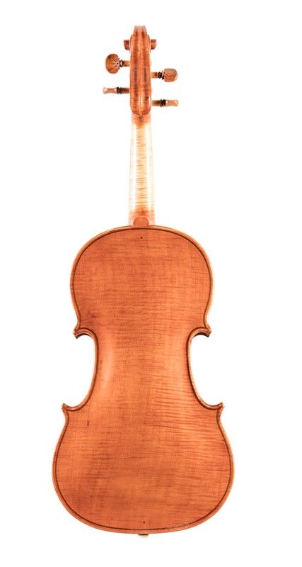 Violino di Dario Vernè