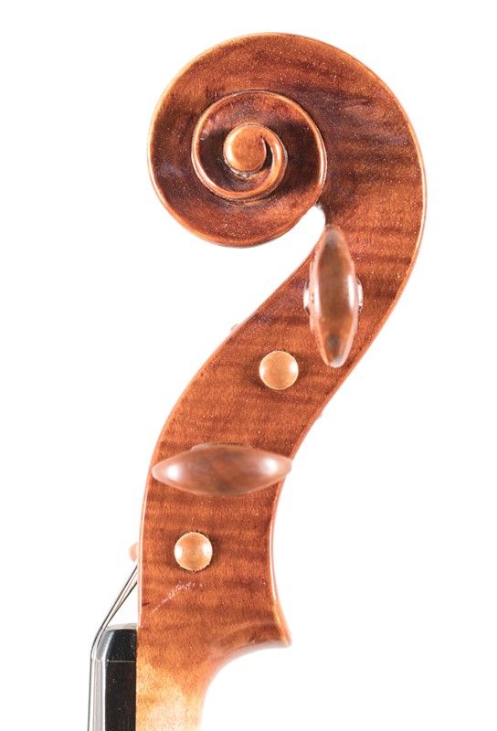 Violino di Dario Vernè