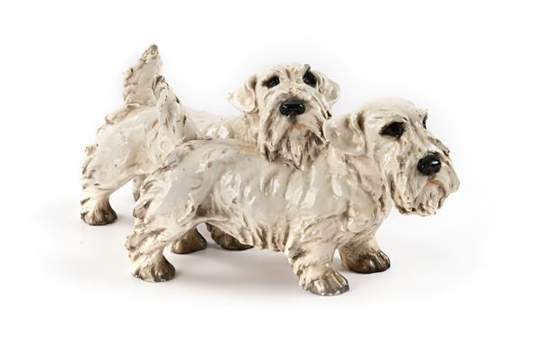 Due cani terrier