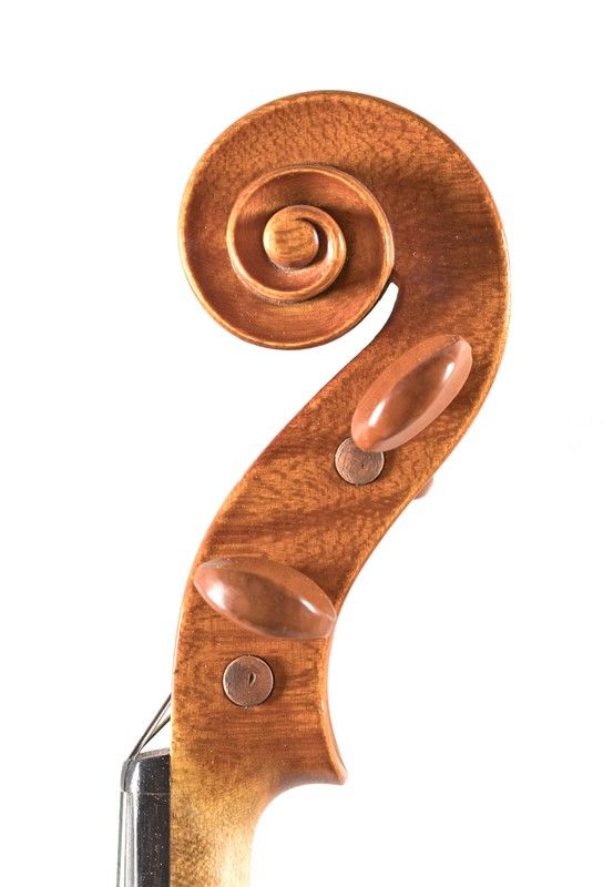 Violino della Bottega di Igino Sderci