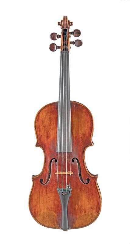 Violino