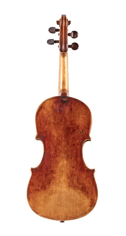 Violino