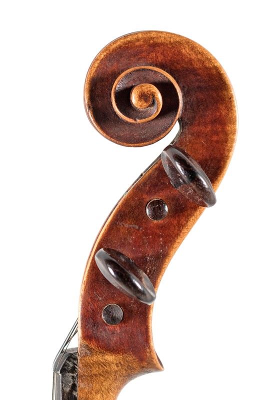 Violino