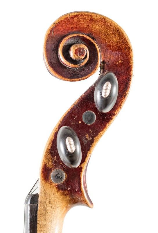 Violino