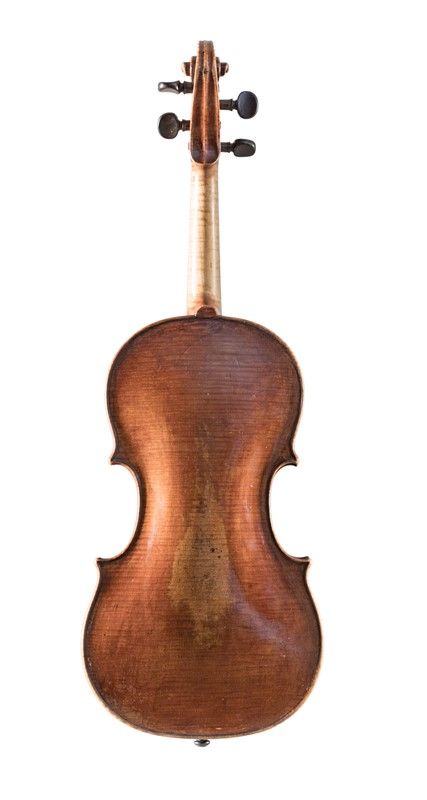 Violino
