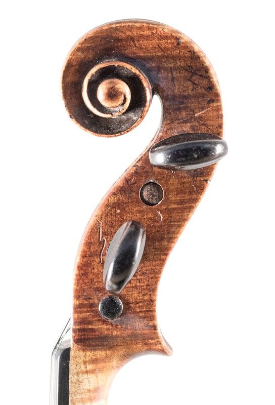 Violino