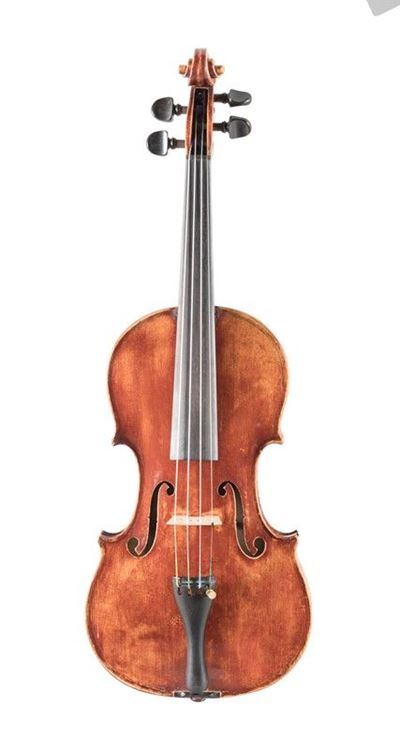 Violino
