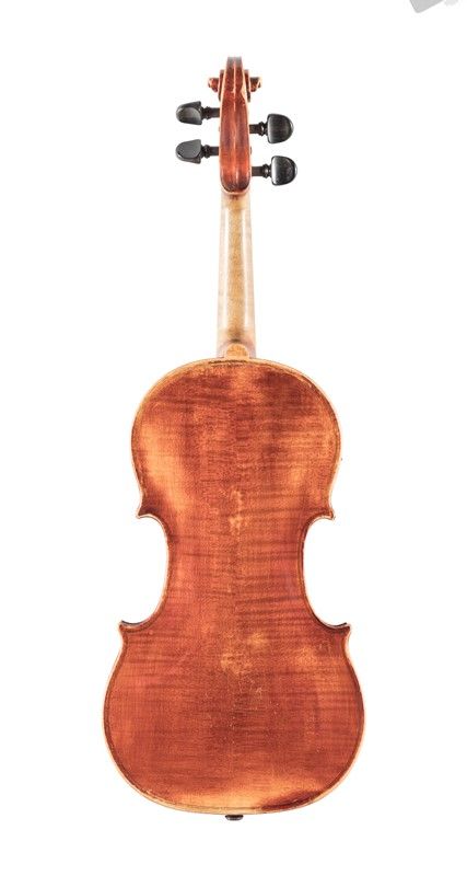 Violino