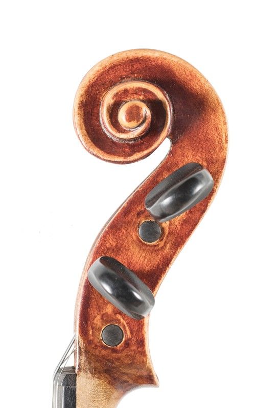 Violino