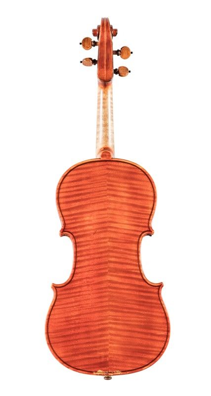 Violino