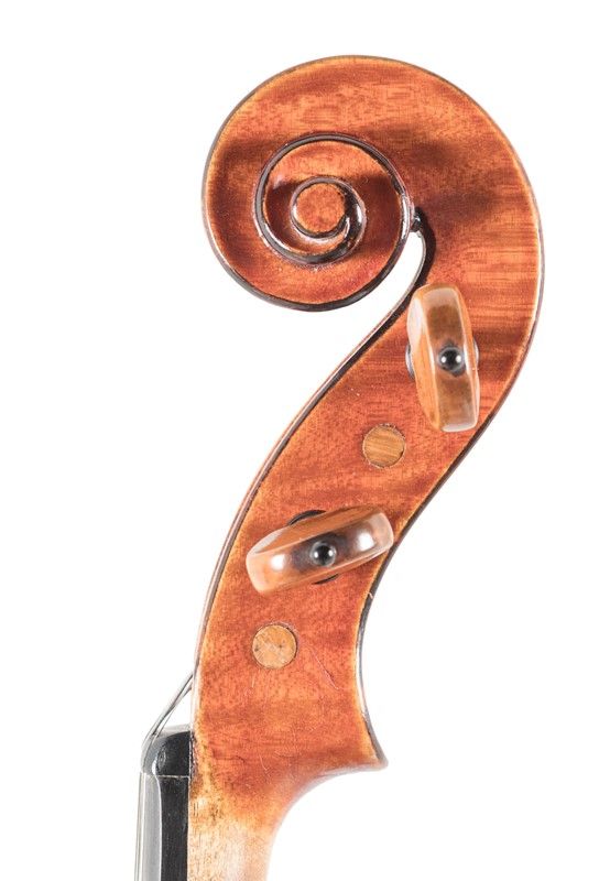 Violino