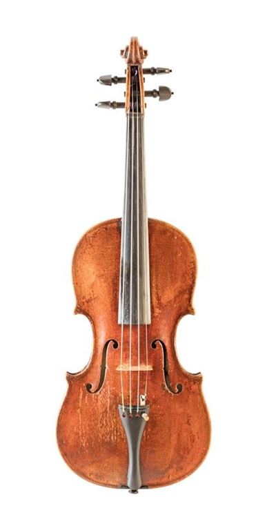 Violino