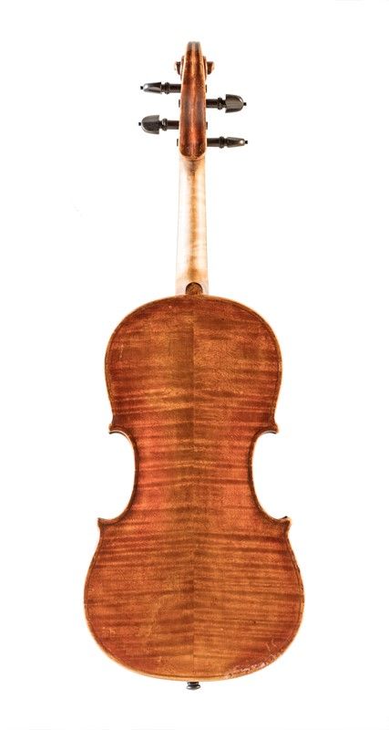 Violino
