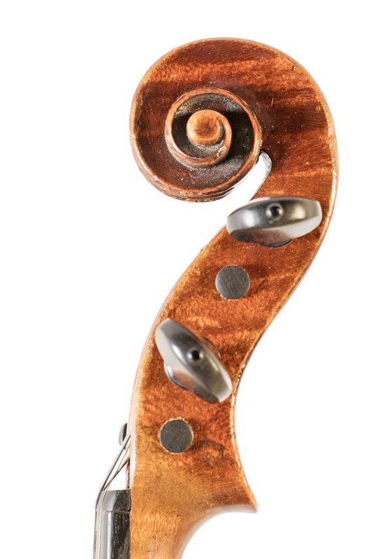 Violino
