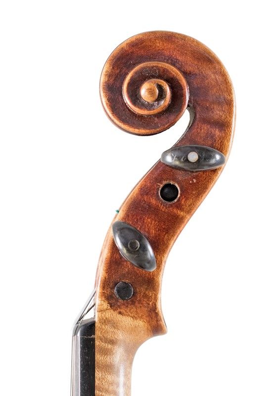 Violino