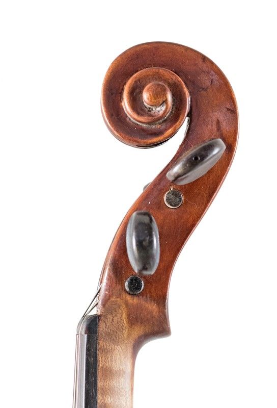 Violino