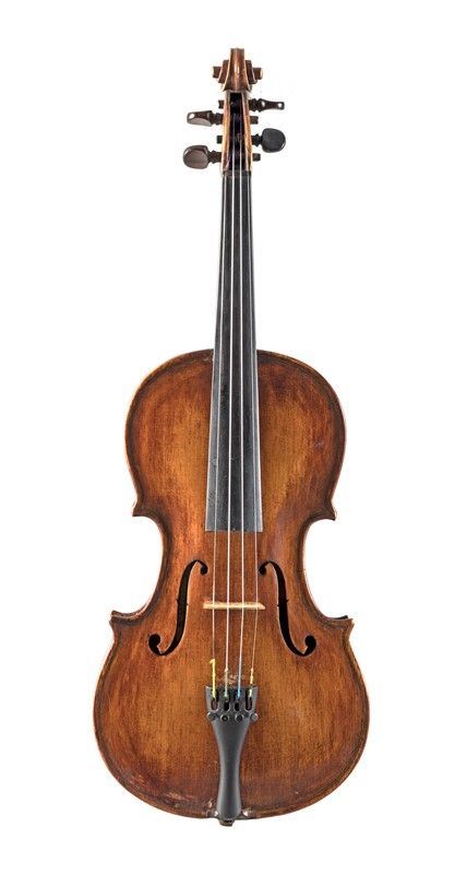Violino