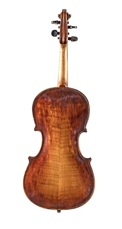 Violino