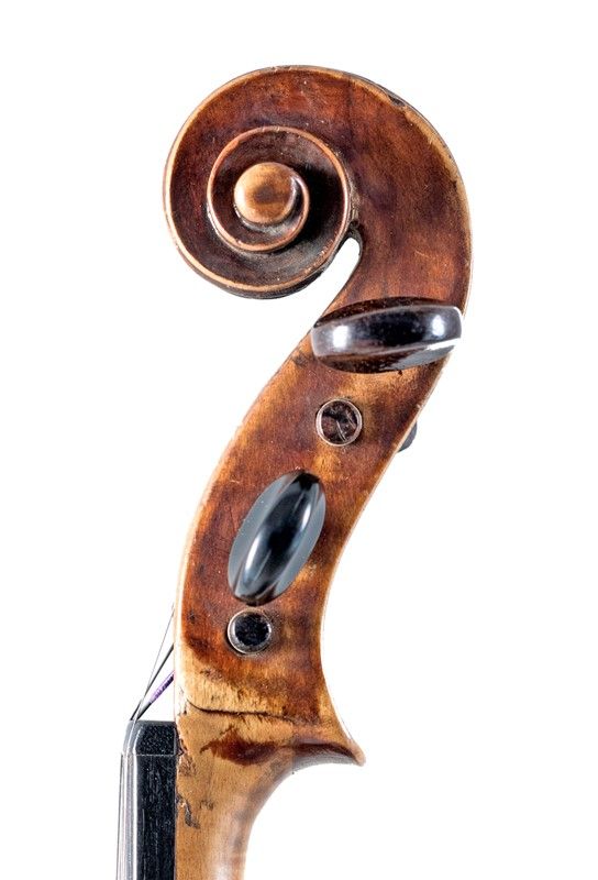 Violino