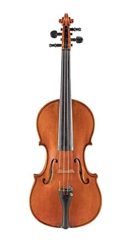 Violino