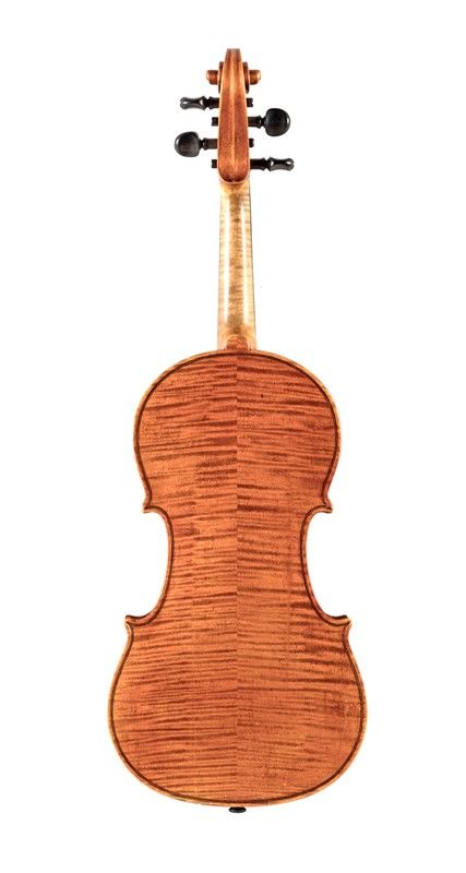 Violino