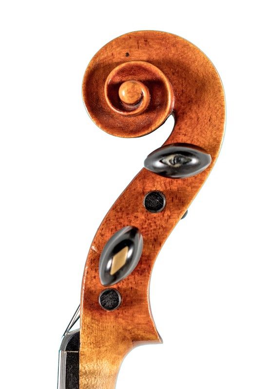 Violino
