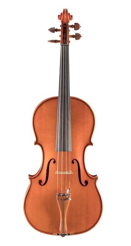 Viola