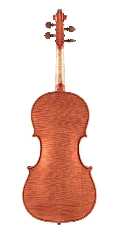 Viola
