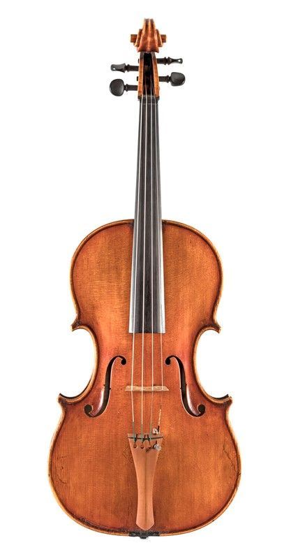 Viola